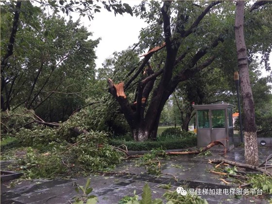 微信图片_20180920143628