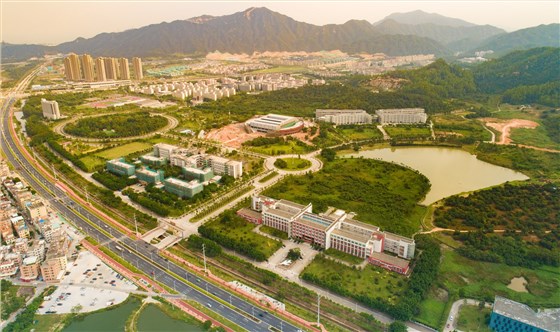 图片5 图片5